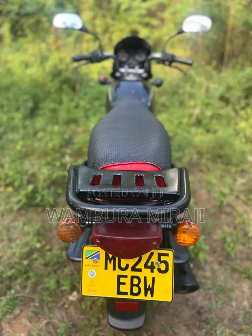 New Bajaj 2025 Pink