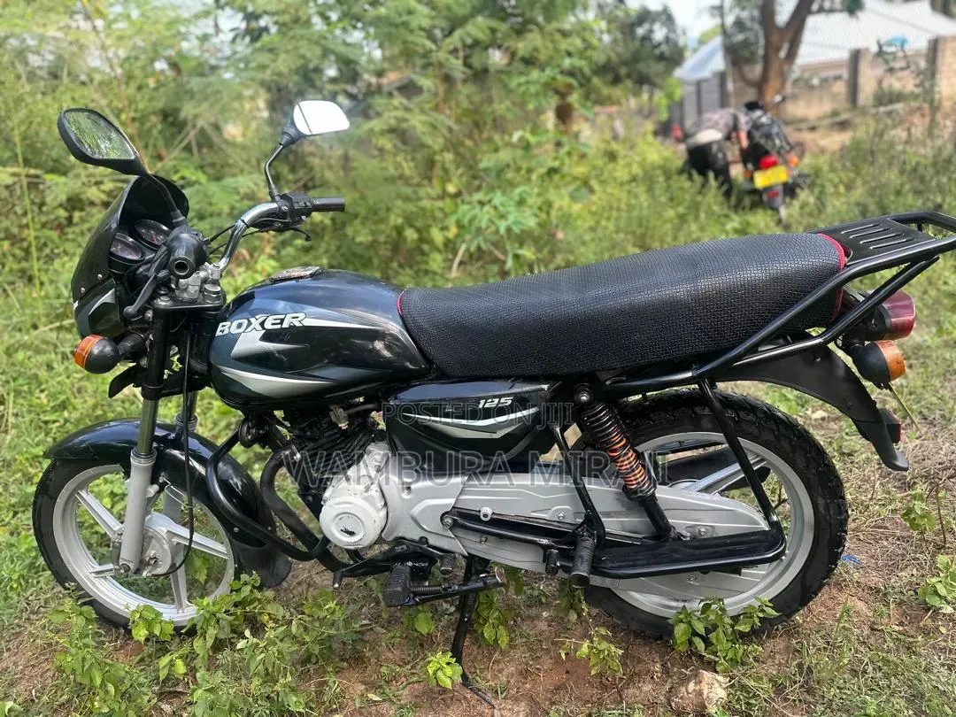 New Bajaj 2025 Pink