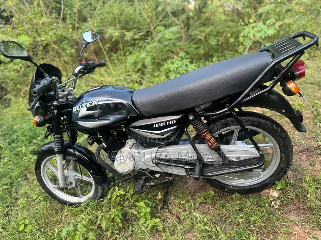 New Bajaj 2025 Pink
