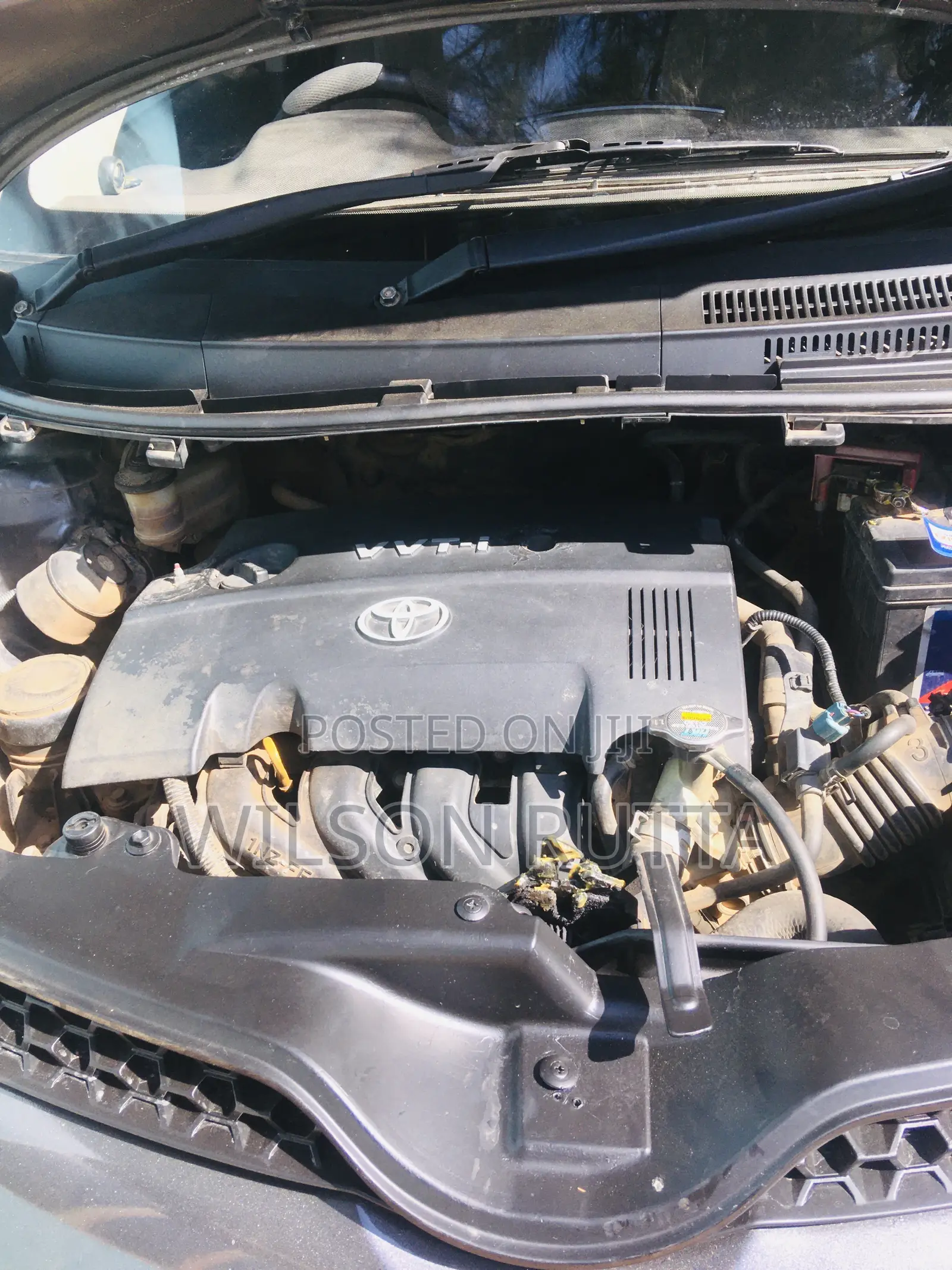 Toyota IST 2007 Gray