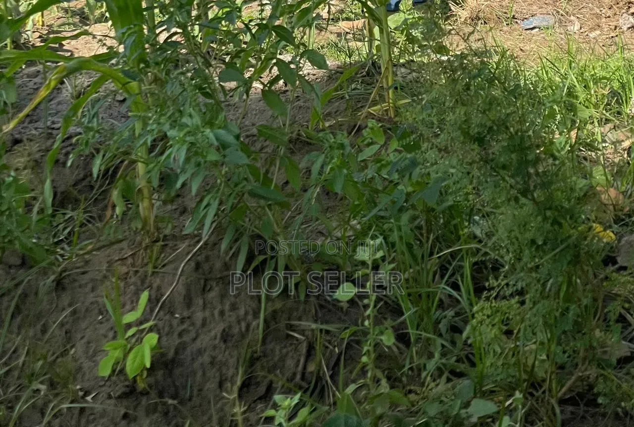 Plots From 432.6sqm to 1056 SQM in Kigamboni for Sale in Installments