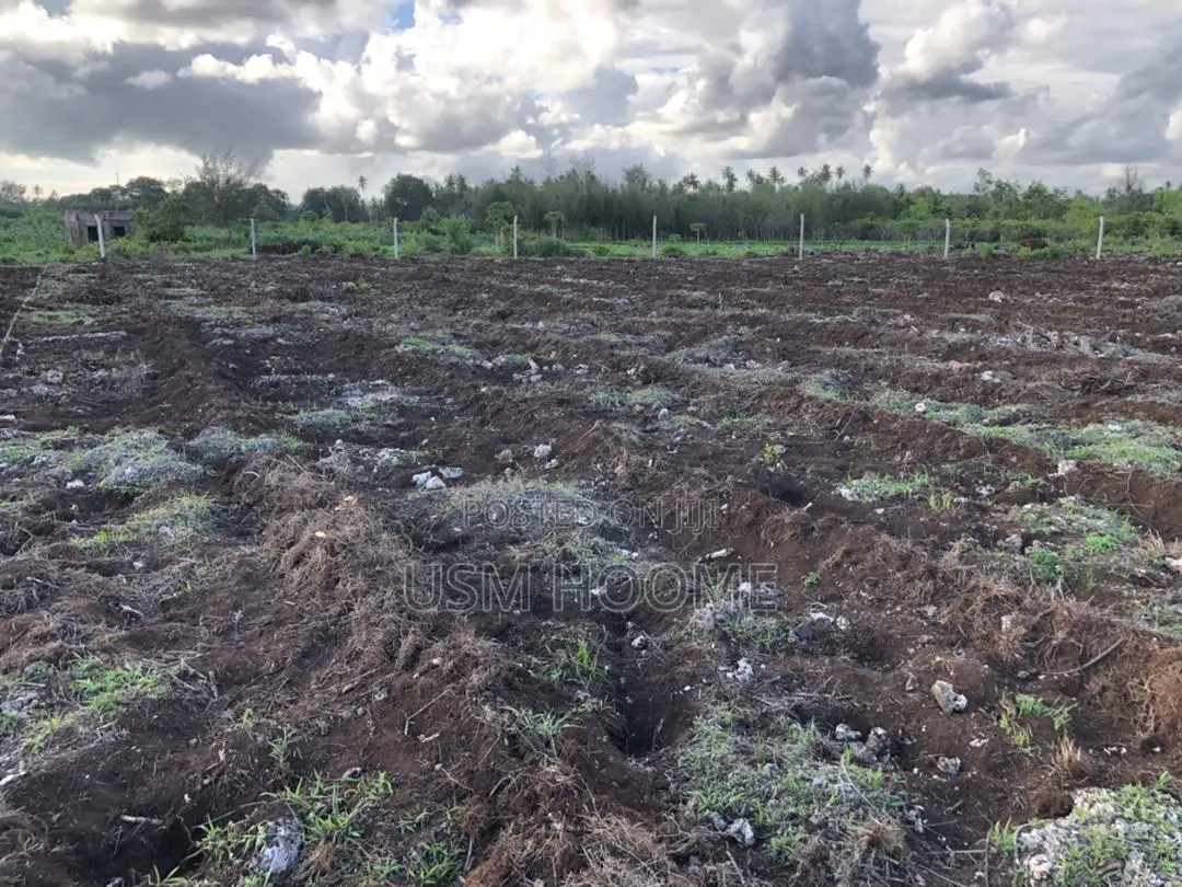 : ⁠2 Hectares Equipped Land (Water Electricity) - Pete, Jozani⁠