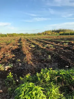 : ⁠2 Hectares Equipped Land (Water Electricity) - Pete, Jozani⁠