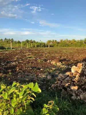 : ⁠2 Hectares Equipped Land (Water Electricity) - Pete, Jozani⁠