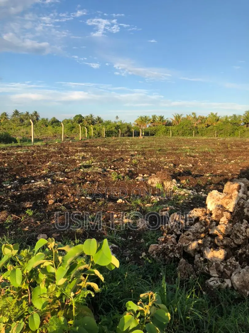 : ⁠2 Hectares Equipped Land (Water Electricity) - Pete, Jozani⁠