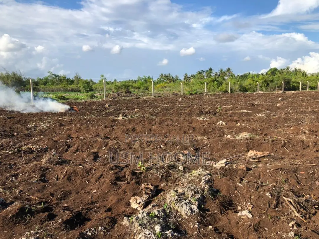 : ⁠2 Hectares Equipped Land (Water Electricity) - Pete, Jozani⁠
