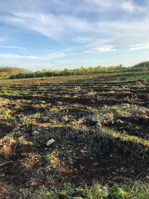 : ⁠2 Hectares Equipped Land (Water Electricity) - Pete, Jozani⁠