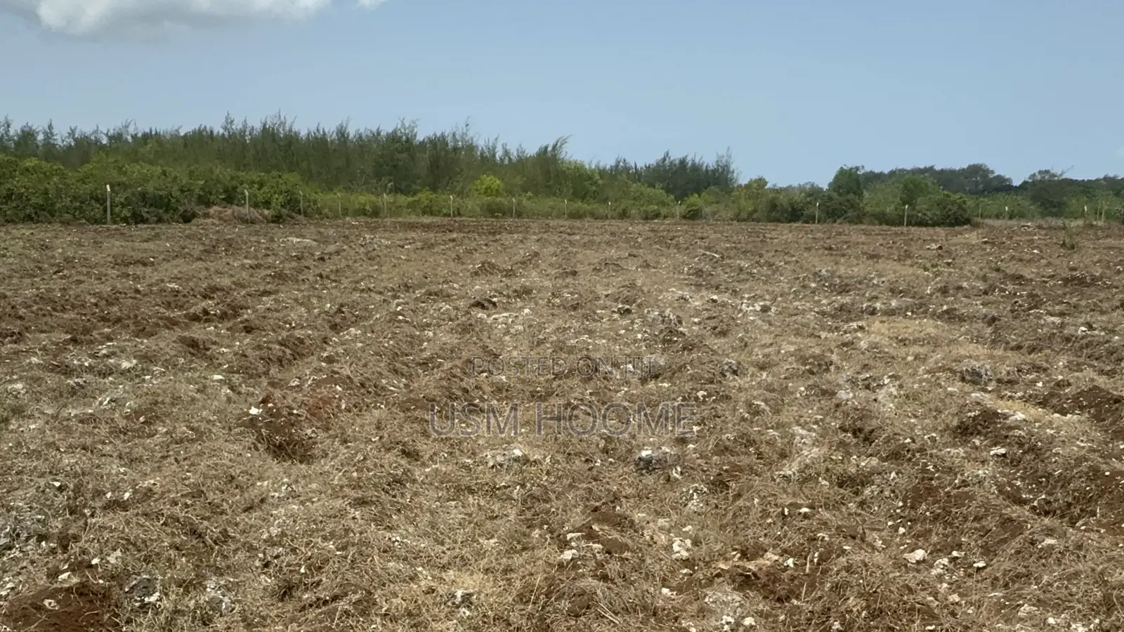: ⁠2 Hectares Equipped Land (Water Electricity) - Pete, Jozani⁠