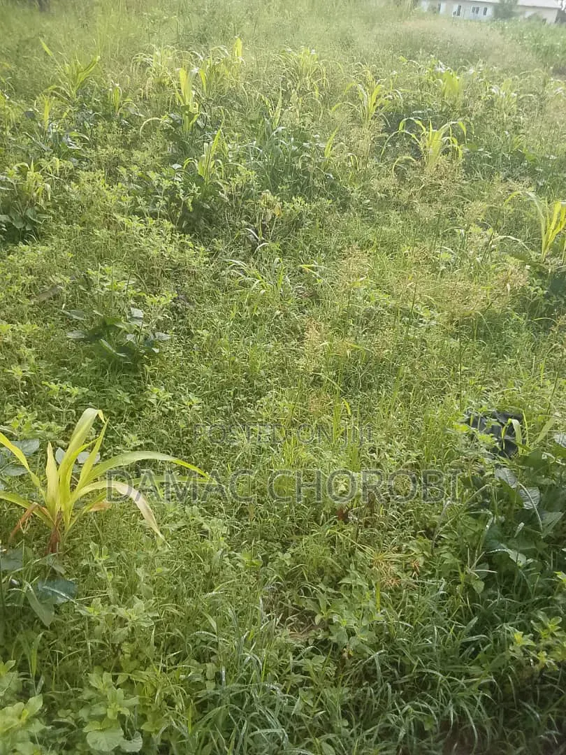Maeneo Bora Kabisa Yanauzwa Mkuranga