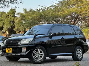 Toyota RAV4 2002 Black
