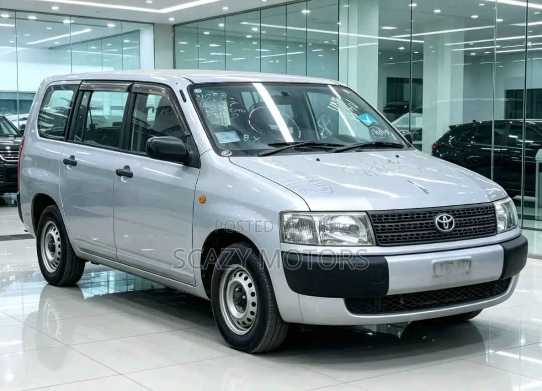 Toyota Probox 2005 Silver