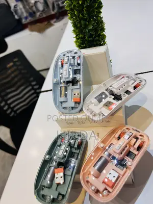 Transparent Mouse