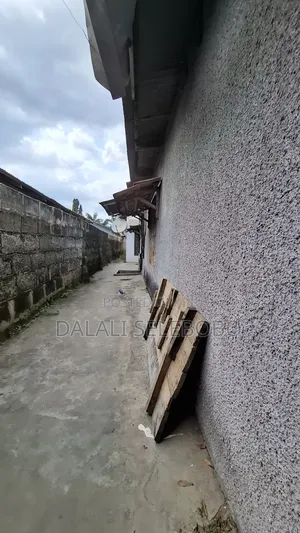 Frem at Sinza Kumekucha