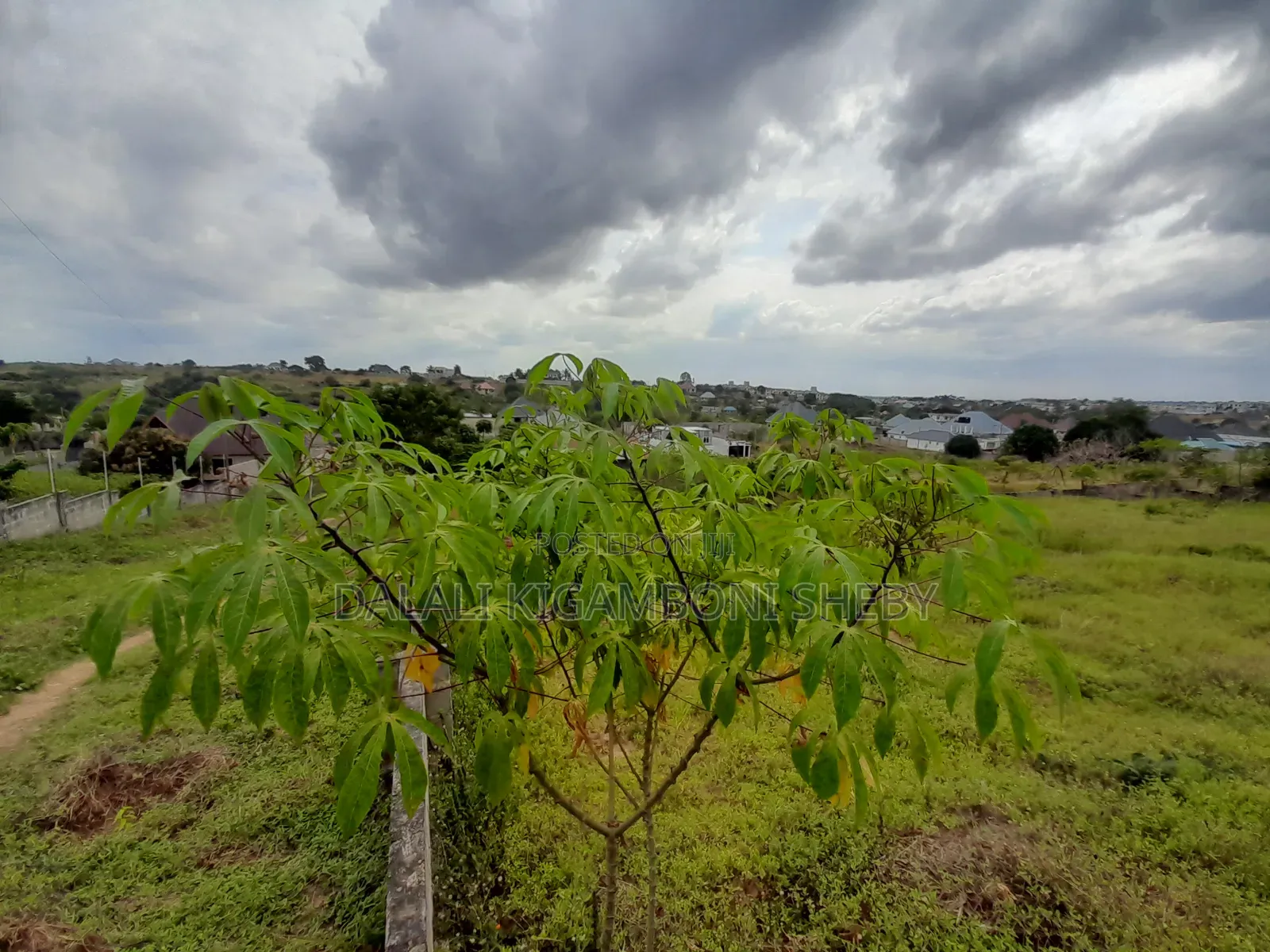 Kiwanja Kinauzwa Kigamboni Mikwambe