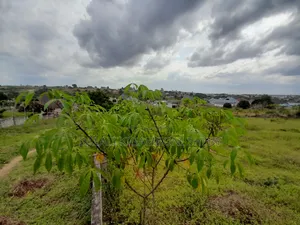 Kiwanja Kinauzwa Kigamboni Mikwambe