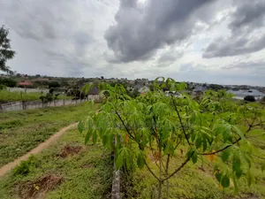 Kiwanja Kinauzwa Kigamboni Mikwambe