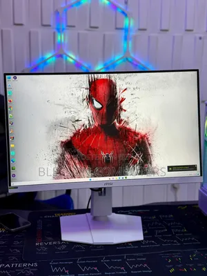 Monitor, Msi Mag