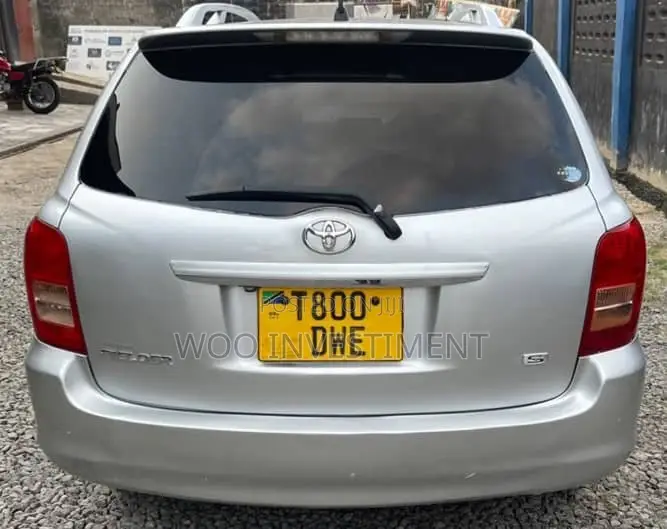 Toyota Corolla Fielder 2007 Silver