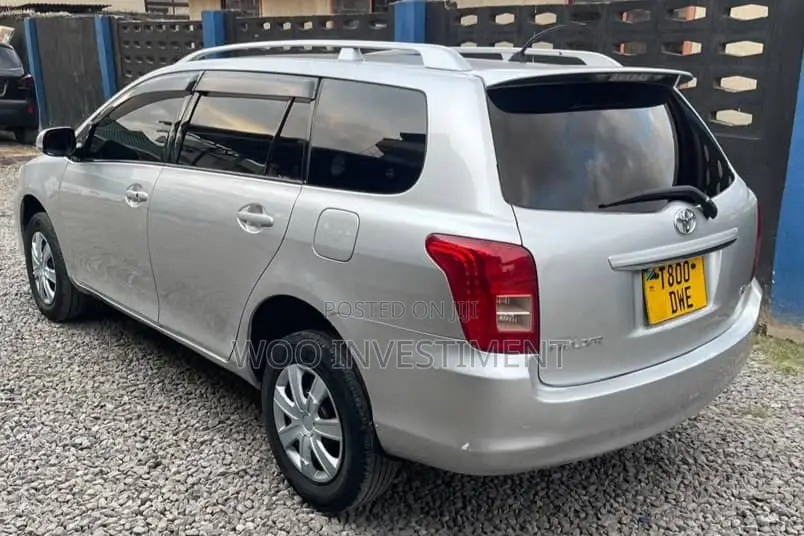 Toyota Corolla Fielder 2007 Silver