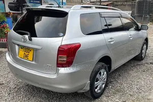 Toyota Corolla Fielder 2007 Silver