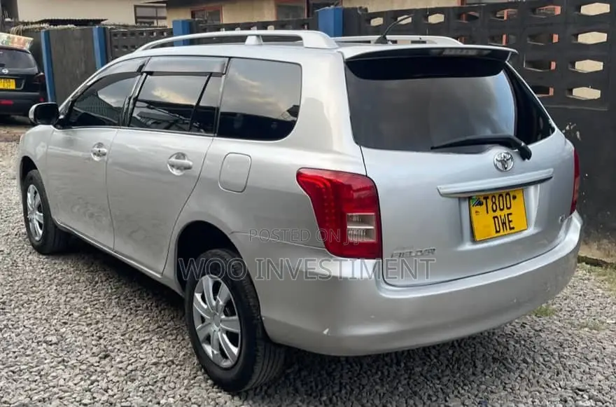 Toyota Corolla Fielder 2007 Silver