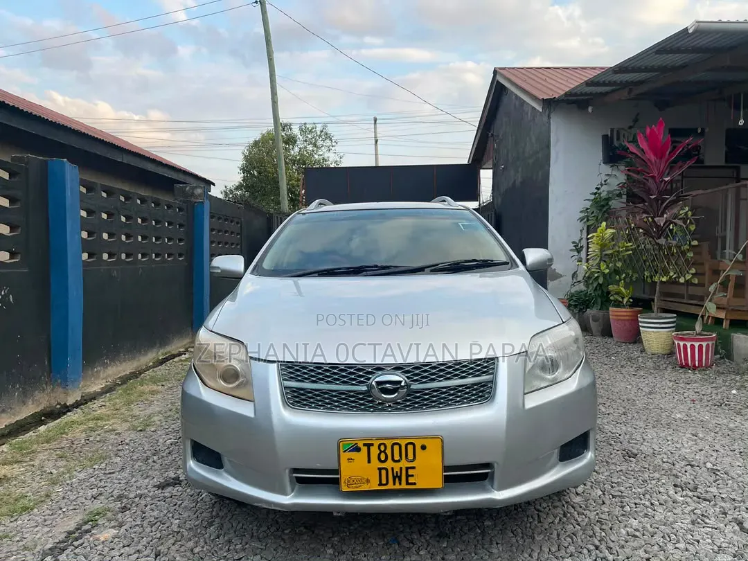 Toyota Corolla Fielder 2008 Silver