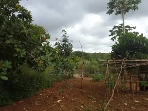 Shamba Linauzwa Mbewe Chalinze