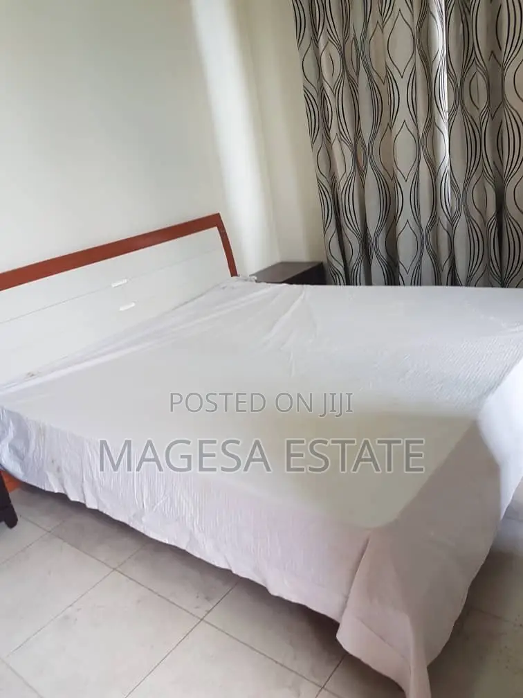 Furnished 3bdrm Apartment in Upanga for rent