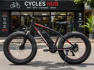 Electrical Bicycle