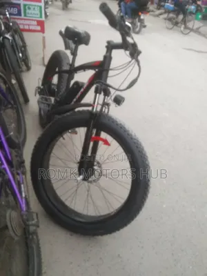 Electric Bike