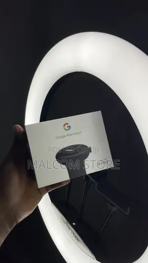 Google Pixel Watch 1