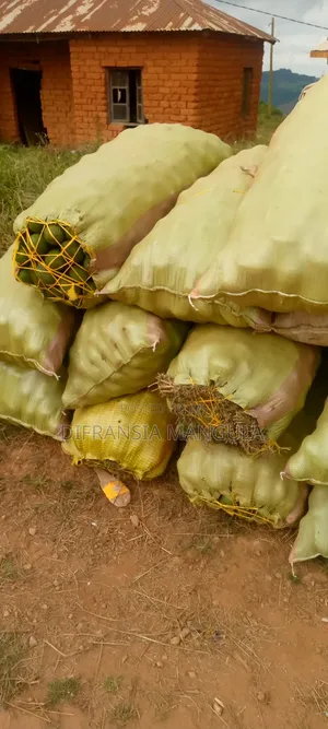 Wauzaji Wa Palachichi Njombe