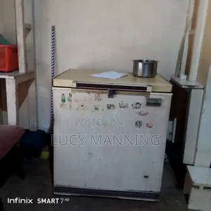 Old Freezer for Sell