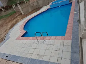 Stainlessness Pool Ladder