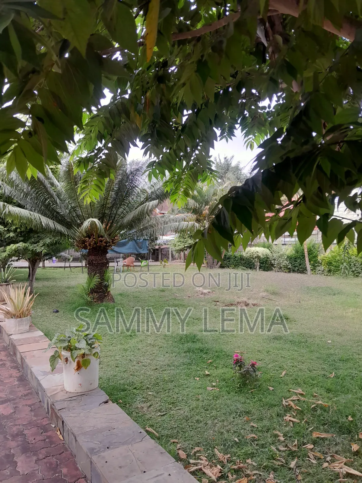5bdrm Bungalow in Sammy Saidy Real, Njiro for rent
