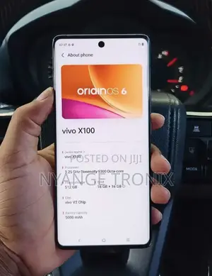 Vivo X100 512 GB Black