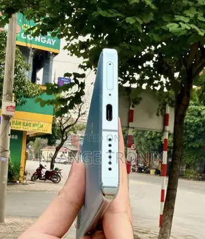 Vivo X100 512 GB Gray