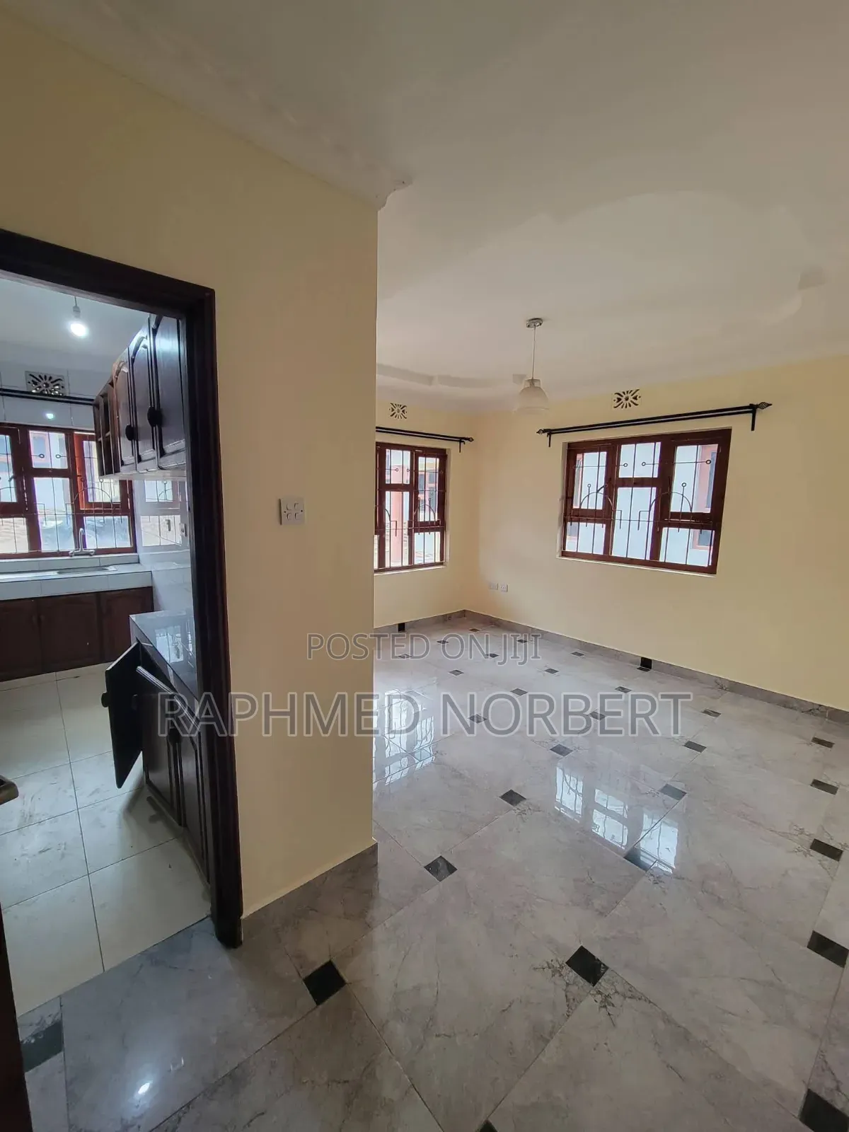 Mini Flat in Tanzania Real, Central Business Area for rent