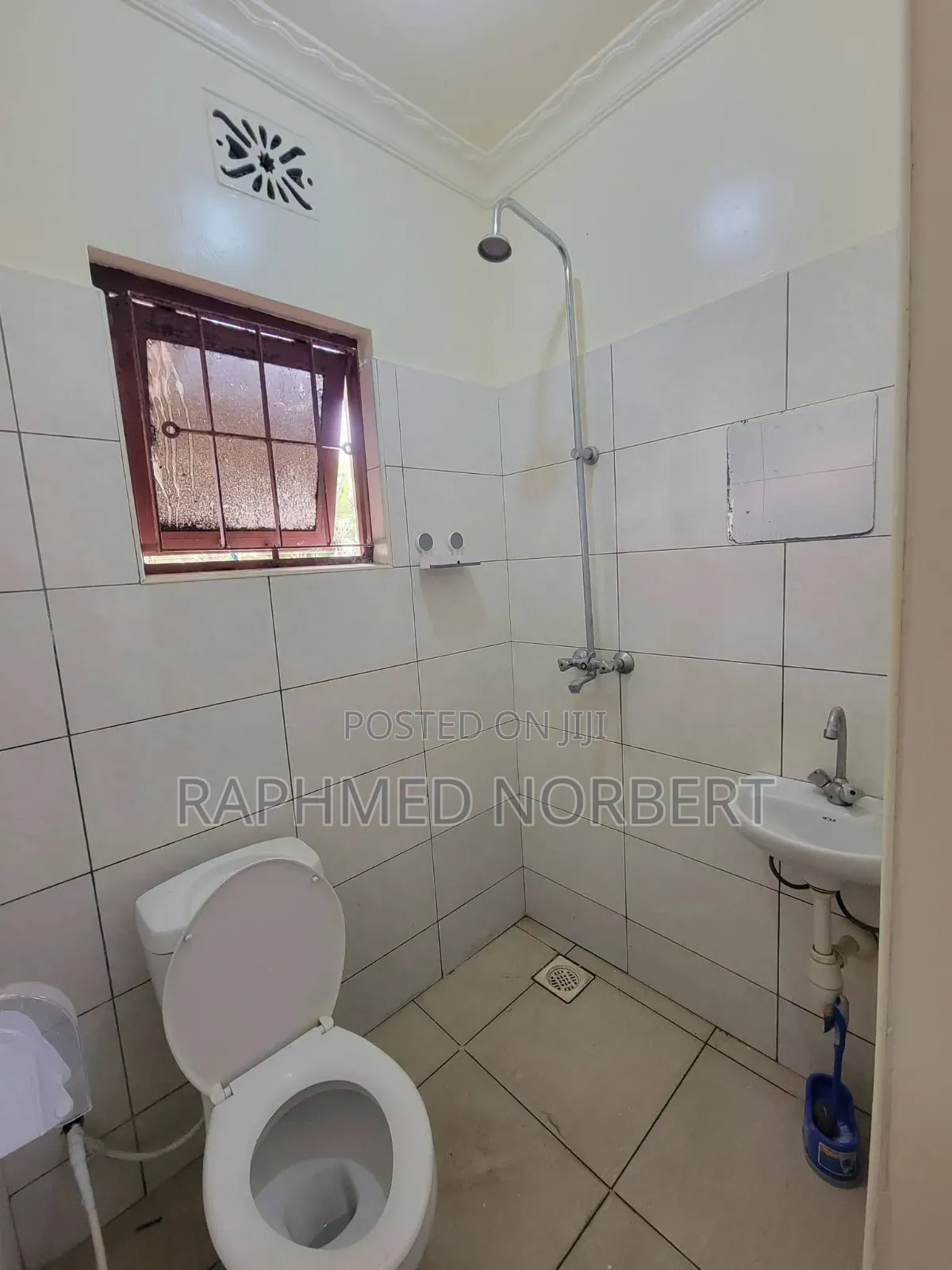 Mini Flat in Tanzania Real, Central Business Area for rent