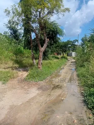 Farm for Sale Ruvuma Songea
