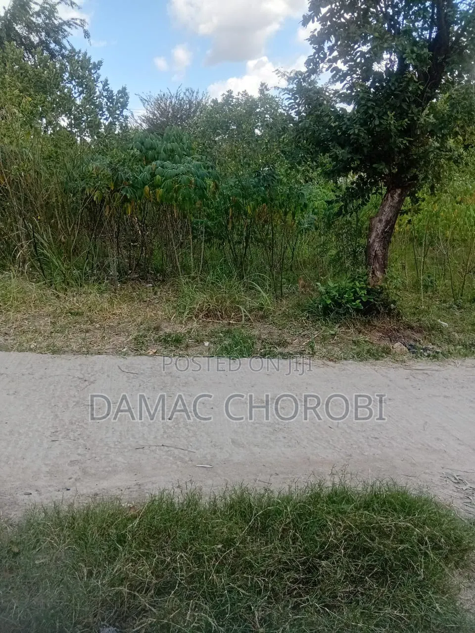 Farm for Sale Ruvuma Songea