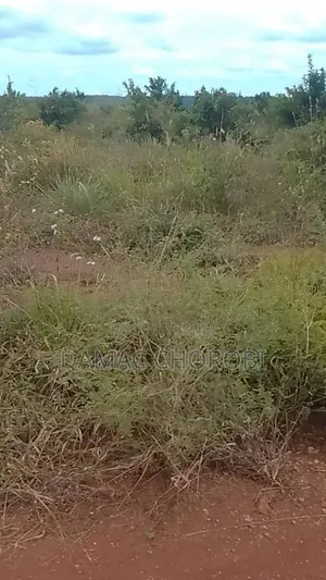 Shamba Linauzwa Mihono Pwani Acre 159