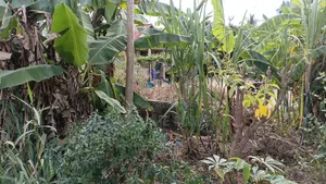 3bdrm House in Wankomange Com Ltd, Kigamboni for sale