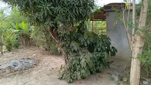3bdrm House in Wankomange Com Ltd, Kigamboni for sale