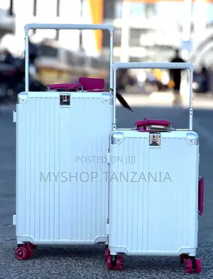 Silver Mabegi Original Travel Bag
