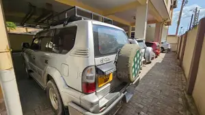 Toyota Land Cruiser Prado 2001 Silver
