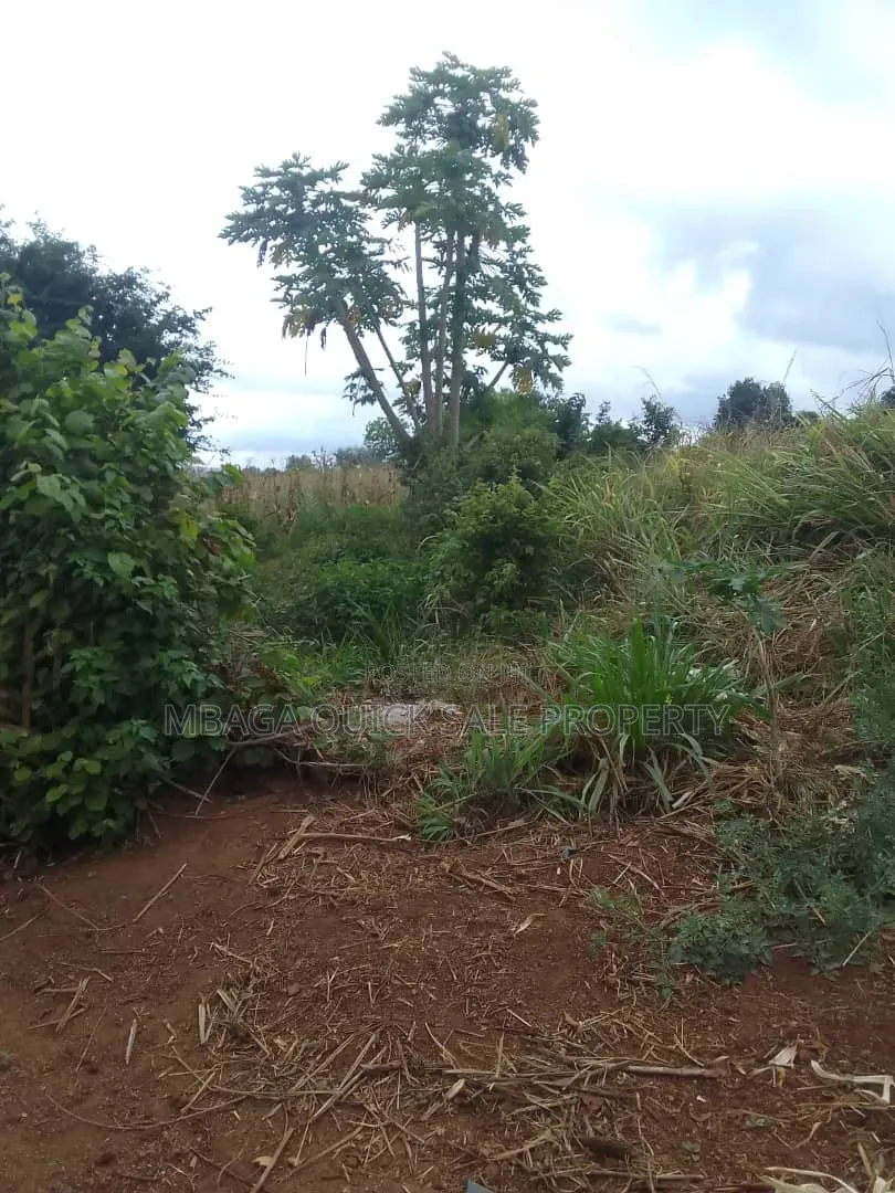 Farm for Sale With 6 Acres for Sale TSH 9,500,000 at Mbwewe Chalinze