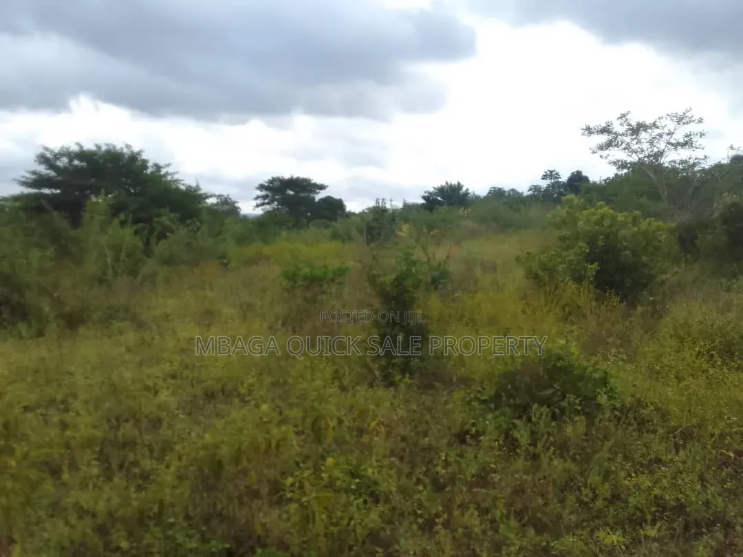 Farm for Sale With 6 Acres for Sale TSH 9,500,000 at Mbwewe Chalinze