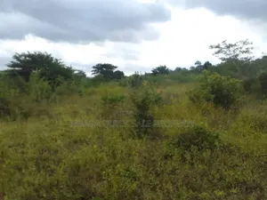 Farm for Sale With 6 Acres for Sale TSH 9,500,000 at Mbwewe Chalinze