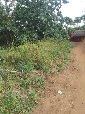 Farm for Sale With 6 Acres for Sale TSH 9,500,000 at Mbwewe Chalinze